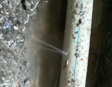 五峰测漏水哪家好