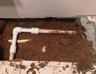 五峰测漏水哪家好