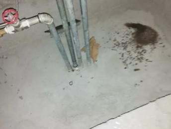 五峰卫生间测漏水价格明细