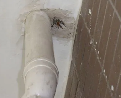 五峰漏水检测哪家好